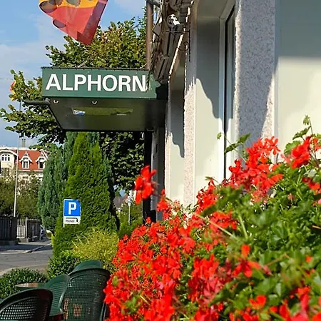 Alphorn 2*