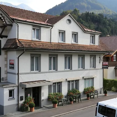 Otel Alphorn