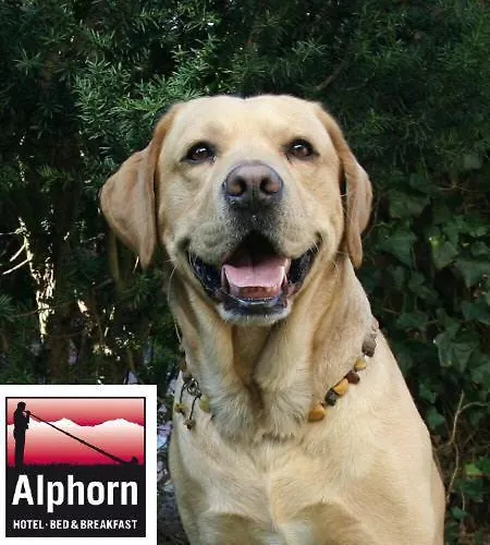 奥尔夫恩酒店 2*